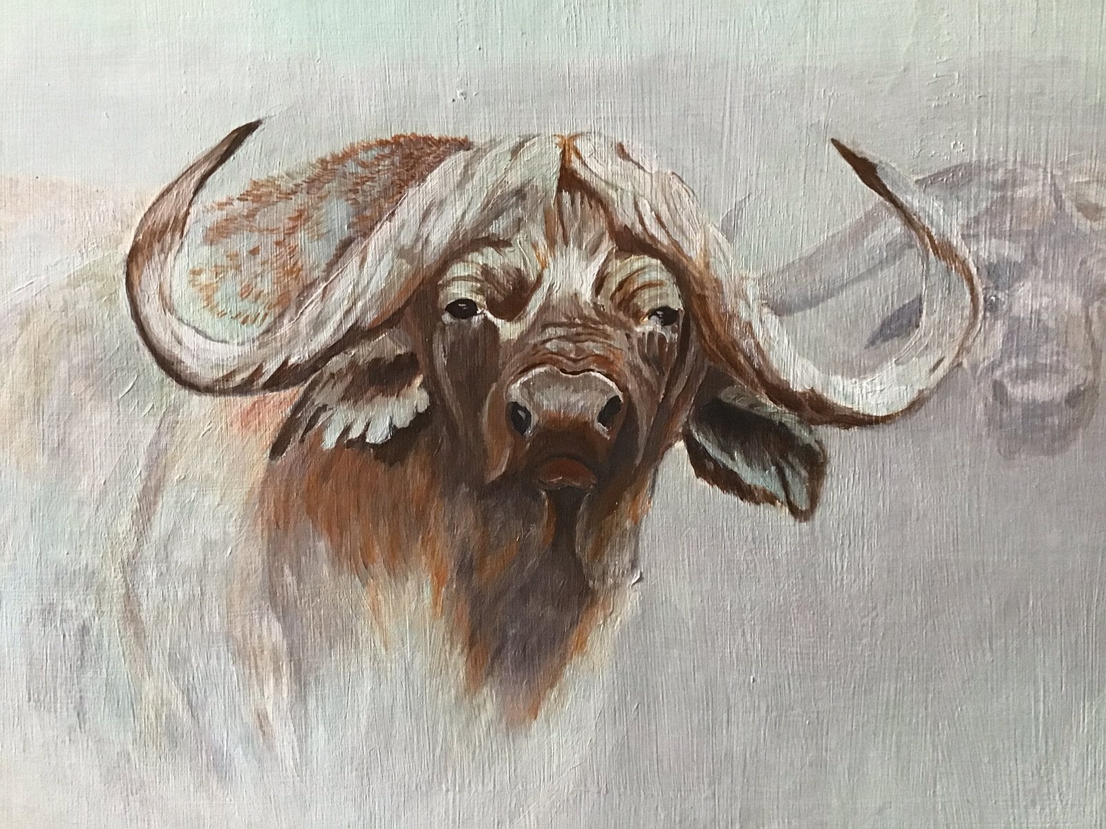 Buffels in de mist. 95x77 cm, Ophalen