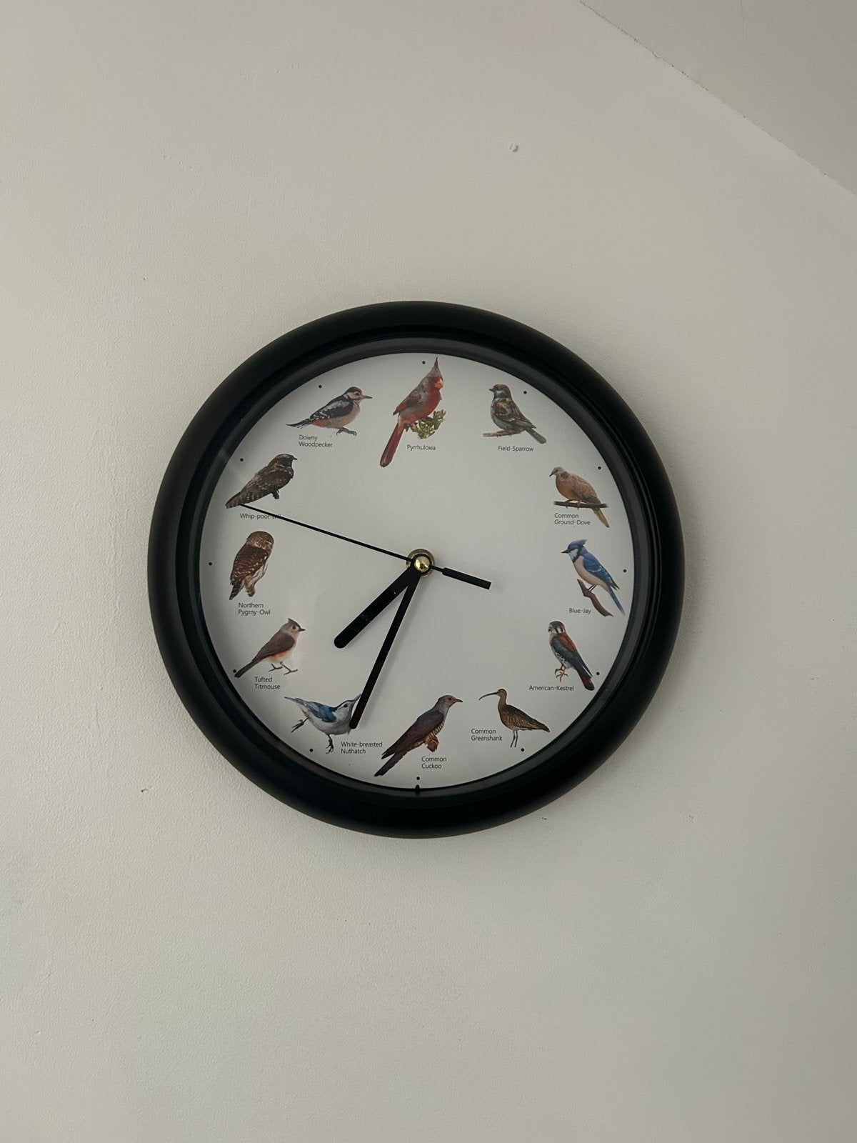 Wandklok met vogelafbeeldingen - Goede staat, Ophalen, Analoog, Werkt op batterijen, Zwart