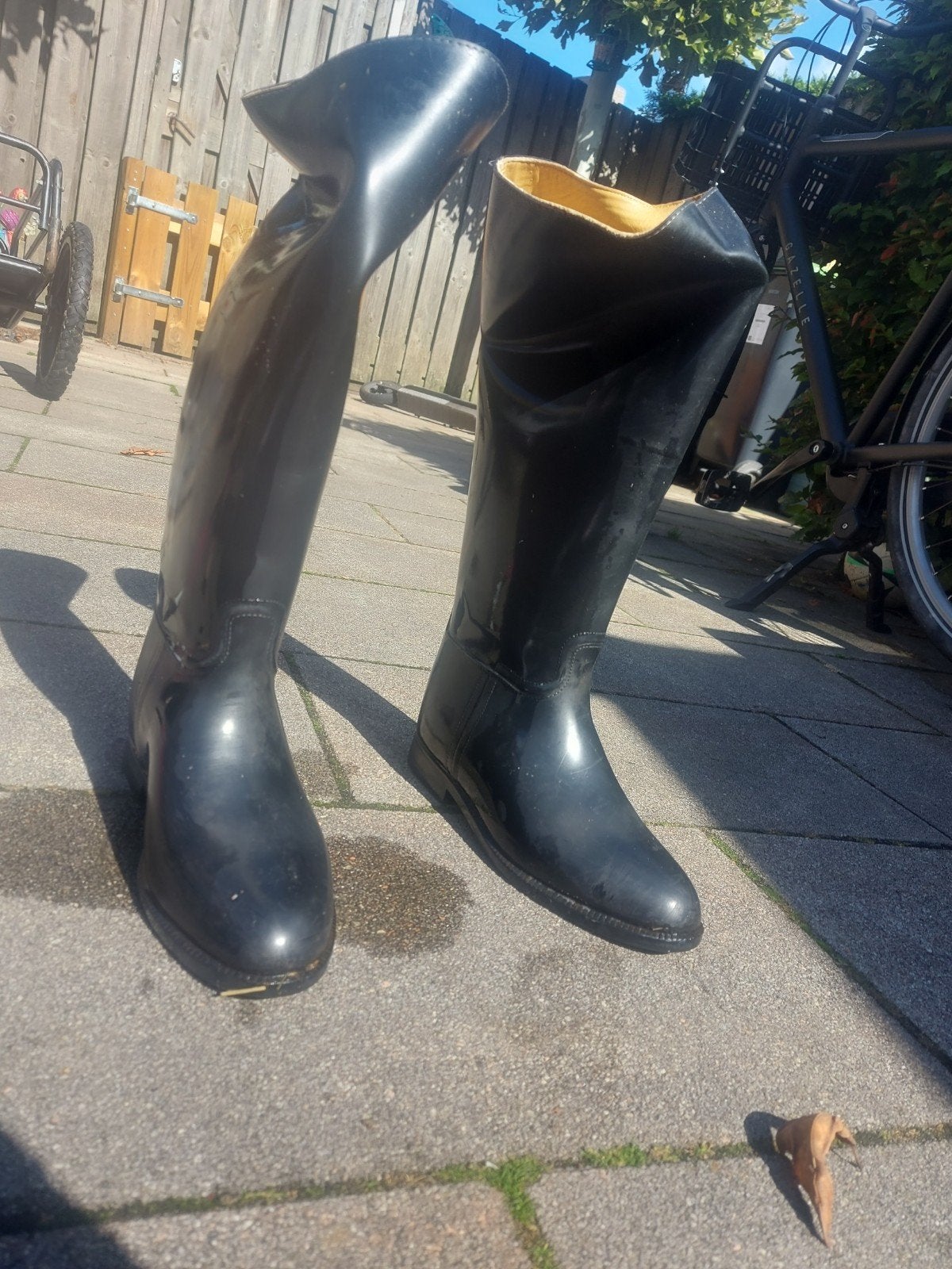 paardrijlaarzen, Ophalen, Gebruikt, Dressuur, Aigle