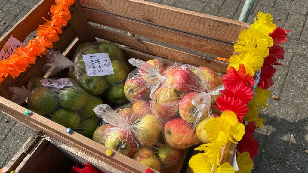 Elstar of granny smith appels (onbespoten), Ophalen of Verzenden
