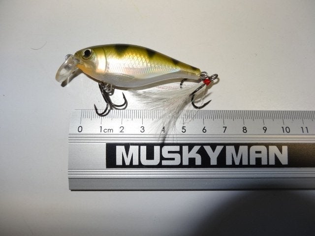 Kunstaas: Rapala Shallow Shad Rap Rattlin' Susp. (SSRS-5), Verzenden, Gebruikt, Overige typen