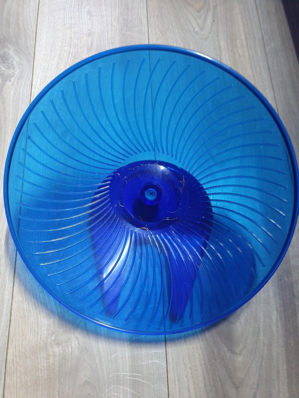 Knaagdier loopwiel rad flying saucer 30cm nieuw, Ophalen, Nieuw, Loopwiel of Rad