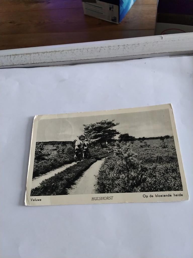 HULSHORST. 1954. VELUWE. OP DE BLOEIENDE HEIDE, Ophalen of Verzenden, 1940 tot 1960, Gelderland