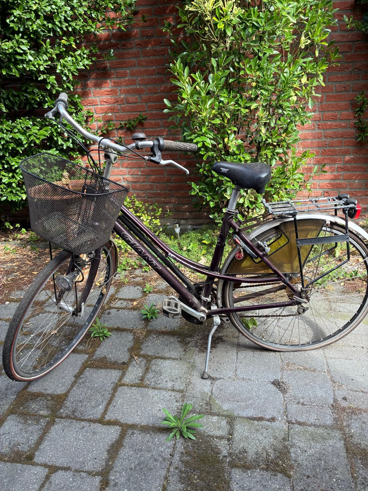 Giant Cabriolet Damesfiets - Opknapper, Ophalen, Velgrem, Versnellingen, Giant