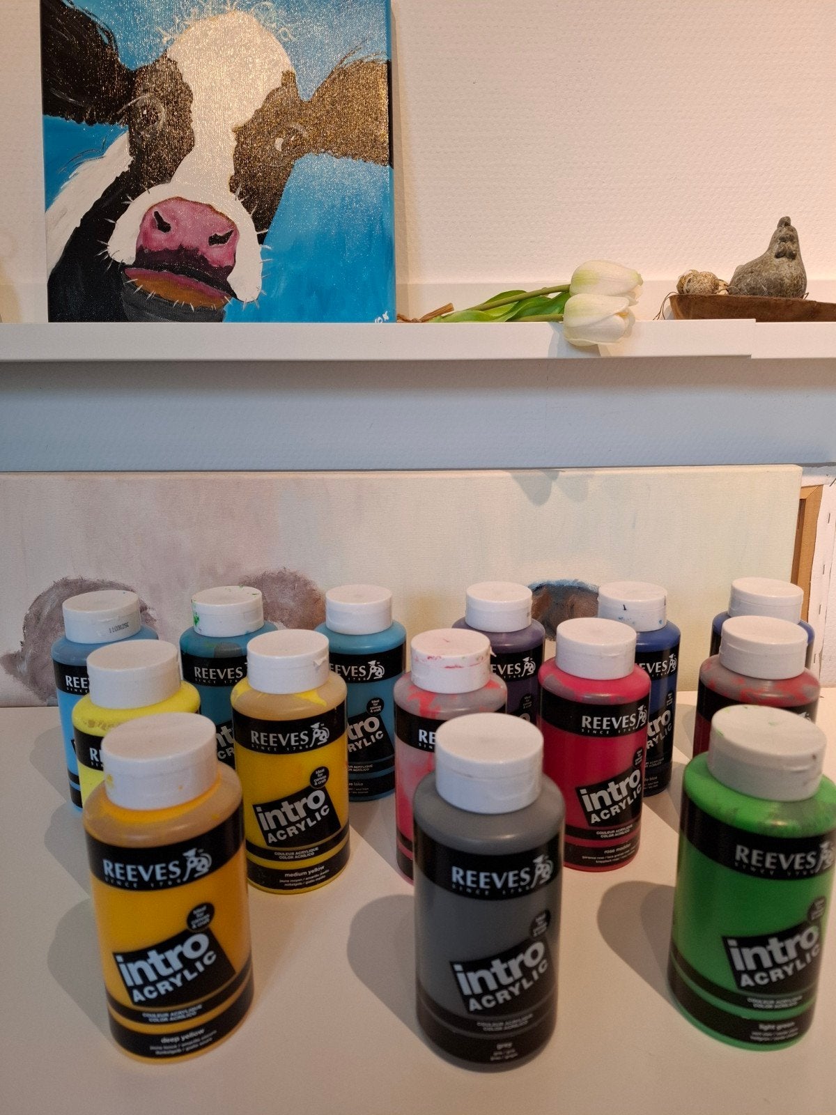 prachtige acrylverf van Reeves 500ml 14 stuks, Hobby en Vrije tijd, Ophalen of Verzenden