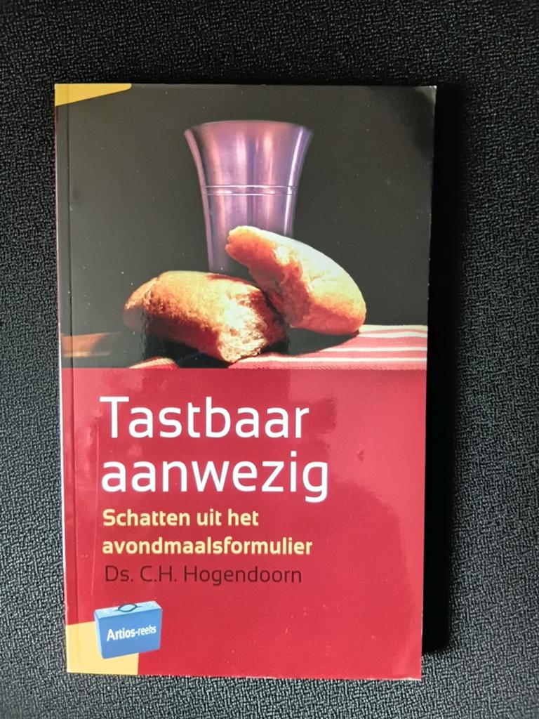 C.H. Hogendoorn - Tastbaar aanwezig, Ophalen of Verzenden, Zo goed als nieuw, C.H. Hogendoorn