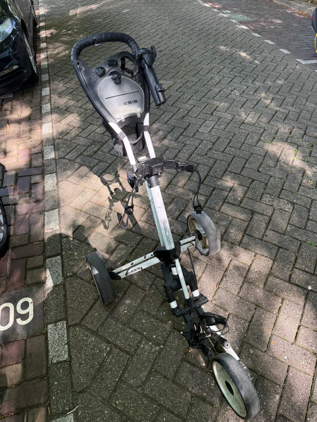 Golfkar inesis, Ophalen, Gebruikt, Golfkar, Overige merken