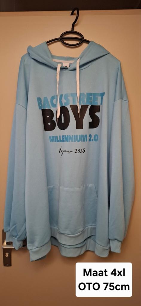 Backstreet Boys Millennium Hoodie NIEUW, Verzamelen, Ophalen of Verzenden, Nieuw, Kleding