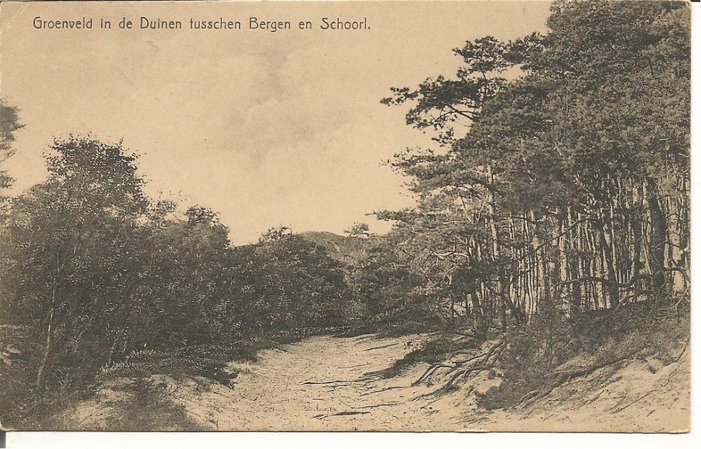 Groenveld in de Duinen tusschen Bergen en Schoorl., Ophalen of Verzenden, 1920 tot 1940, Ongelopen, Noord-Holland
