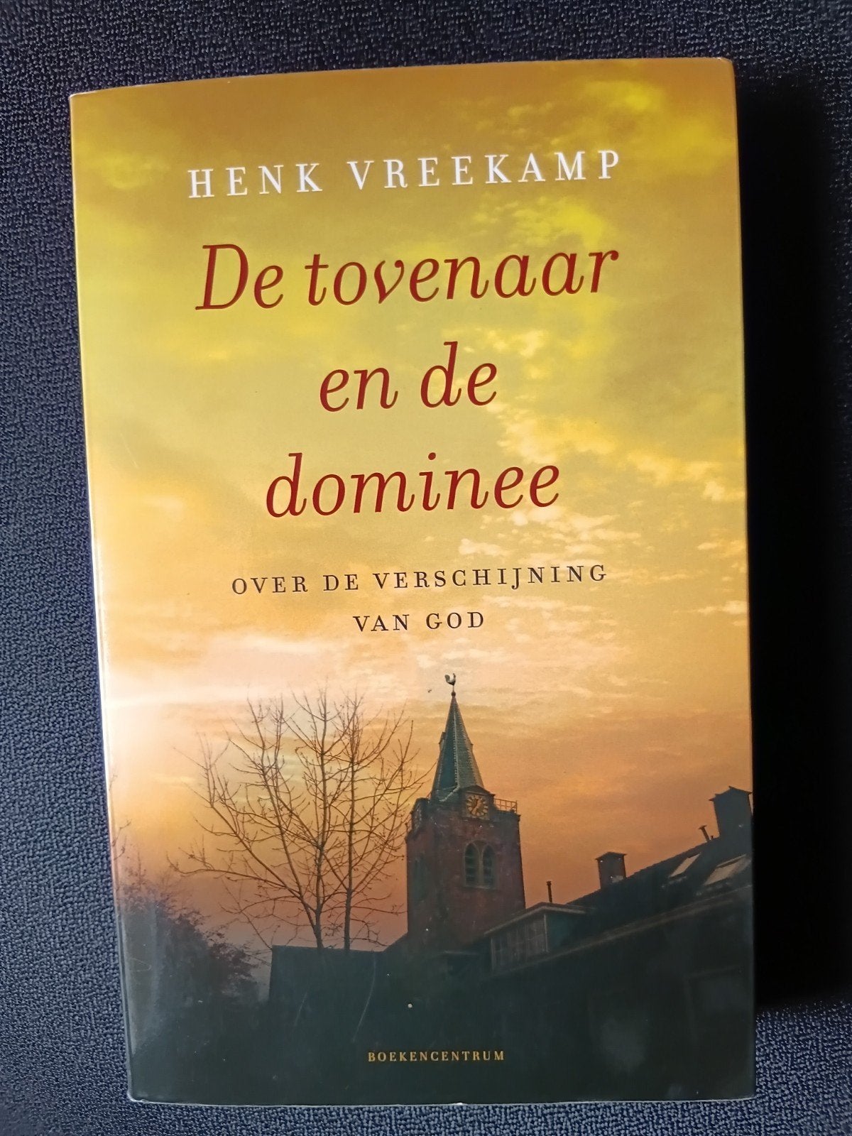 Henk Vreekamp - De tovenaar en de dominee, Boeken, Ophalen of Verzenden, Zo goed als nieuw, Henk Vreekamp