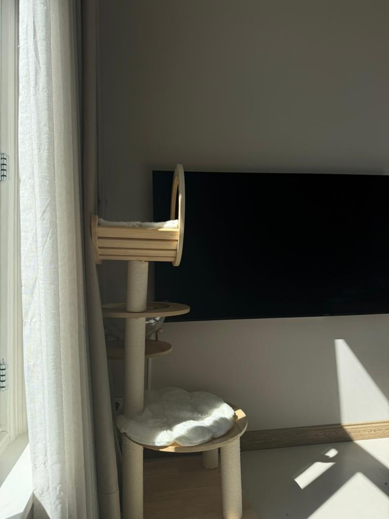 Sony Bravia XR-65A80J (65 inch OLED TV) + Muurbeugel, Ophalen, Zo goed als nieuw, 100 Hz, Sony