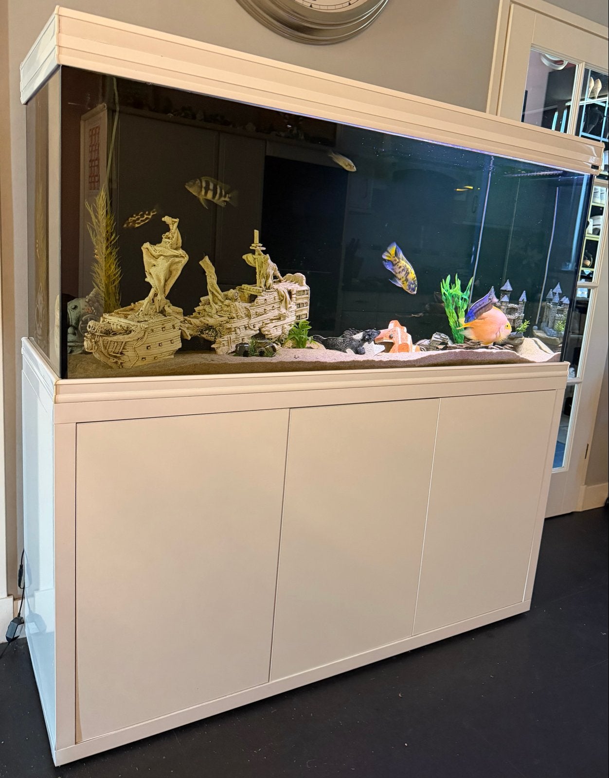 Malawi Aquarium wit/zwart superfish/aqualantis, Ophalen, Gebruikt, Aquatlantis, Gevuld zoetwateraquarium