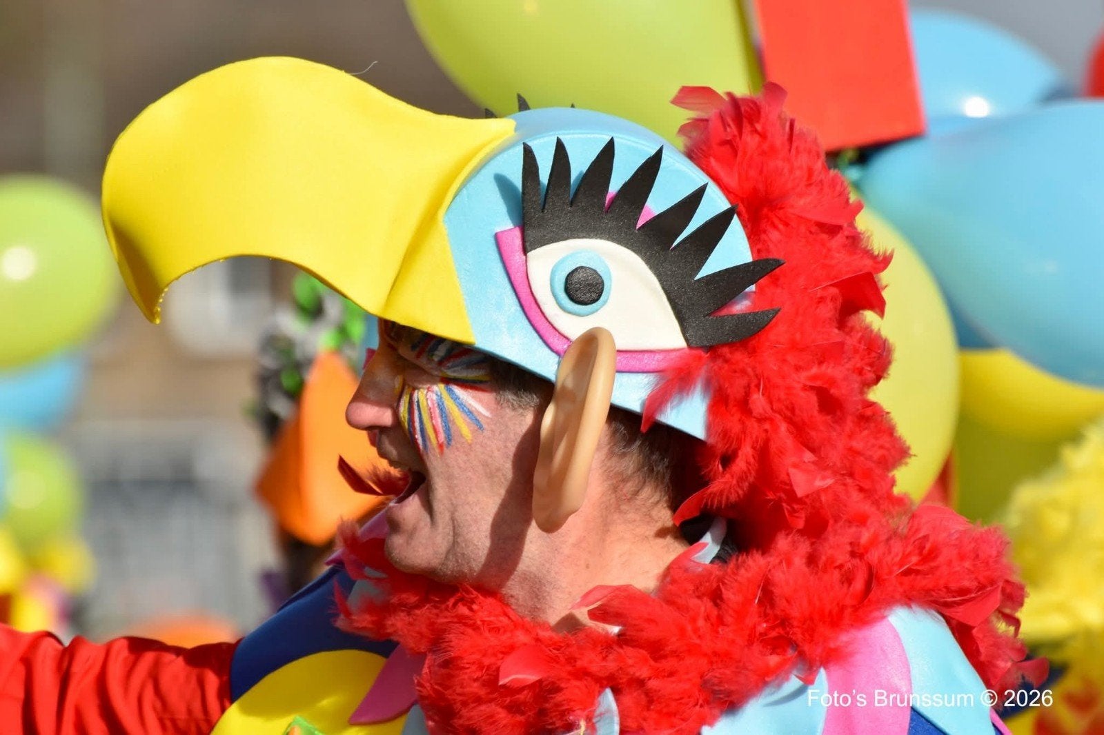 loopgroep vreemde vogels carnaval, Ophalen, Carnaval, Maat 46/48 (XL) of groter, Zo goed als nieuw