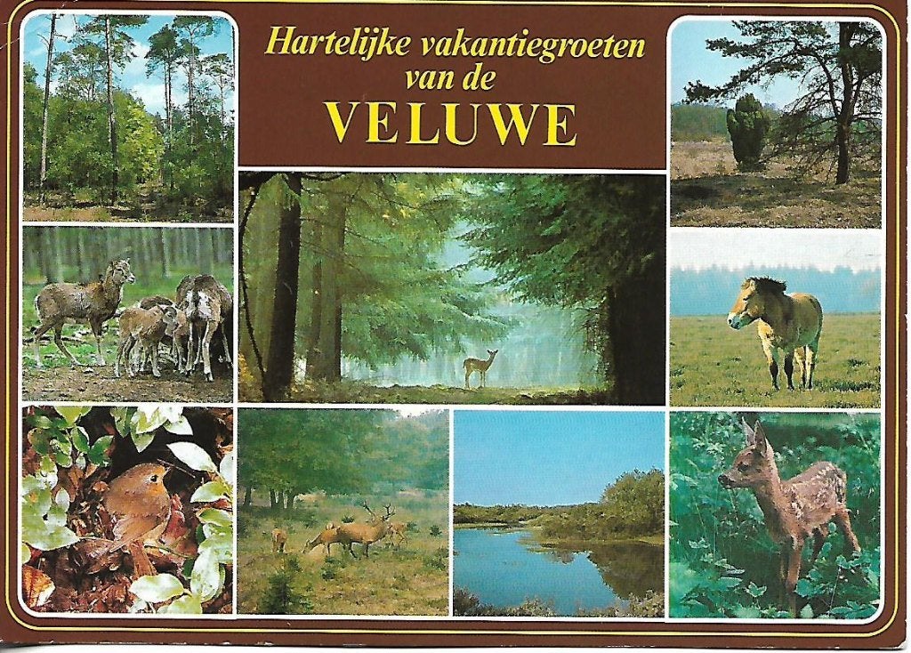 Gelderland- -9-luik., Ophalen of Verzenden, 1980 tot heden, Gelopen, Gelderland