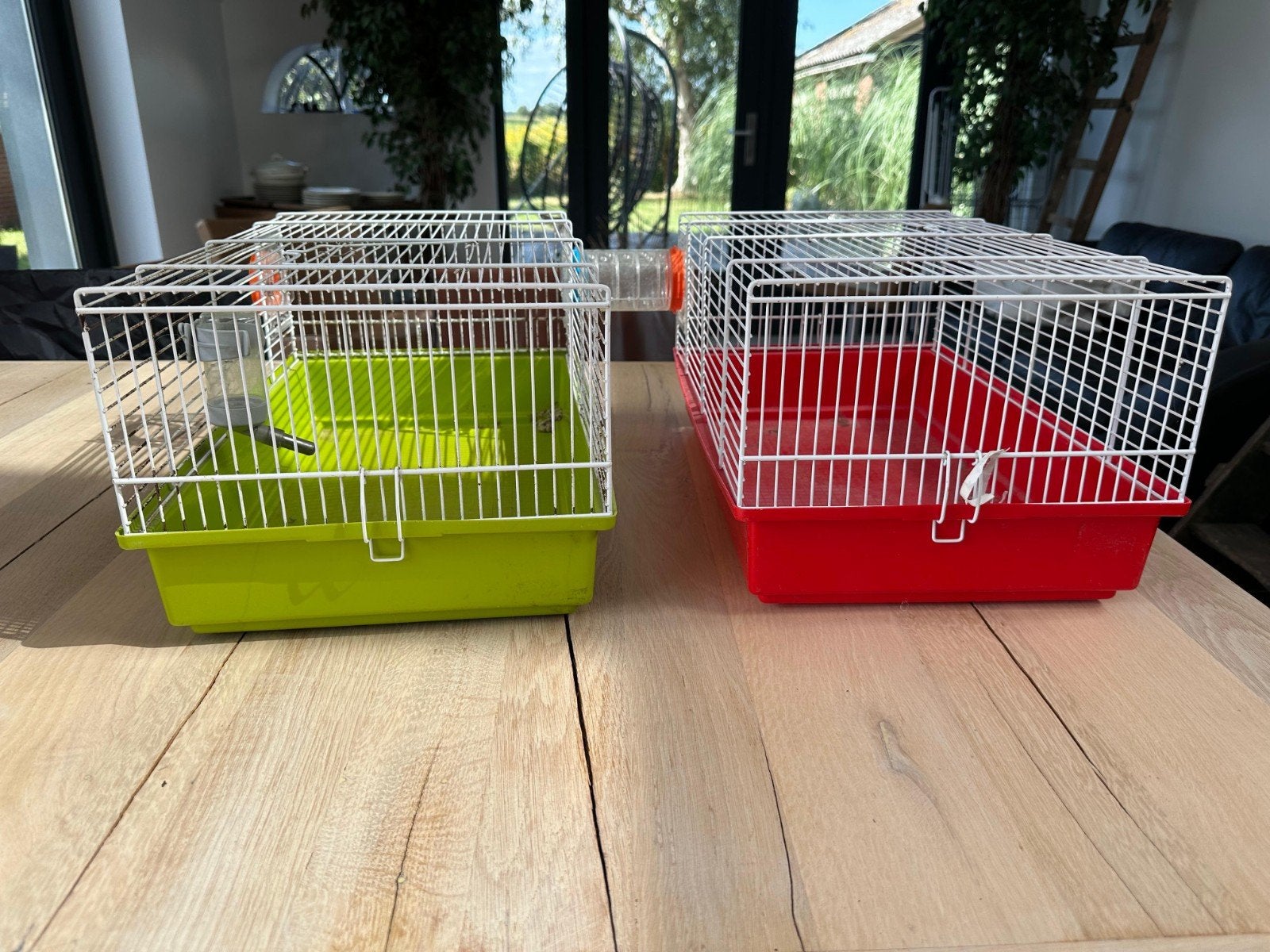 hamsterkooi, Minder dan 60 cm, Kooi, Minder dan 75 cm, Ophalen of Verzenden