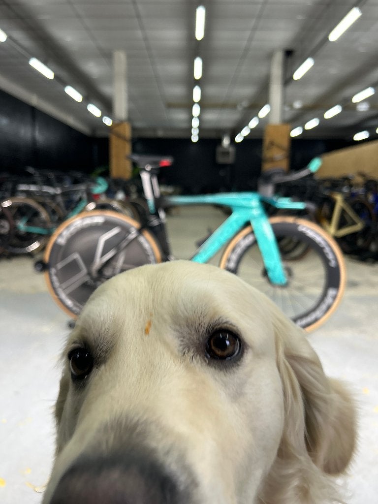 Bianchi Aquila RC Disc Di2 Carbon TT, Ophalen, Zo goed als nieuw, Overige typen