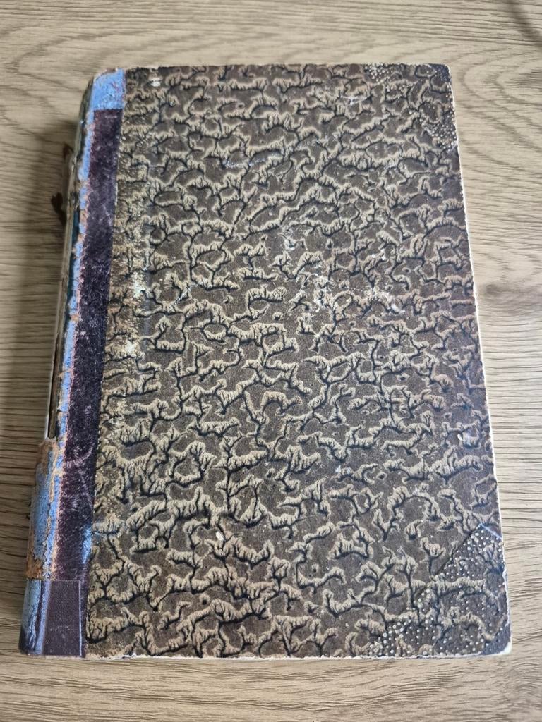 De Kleine Profeten - J. van Andel (1881), Ophalen of Verzenden, J. van Andel