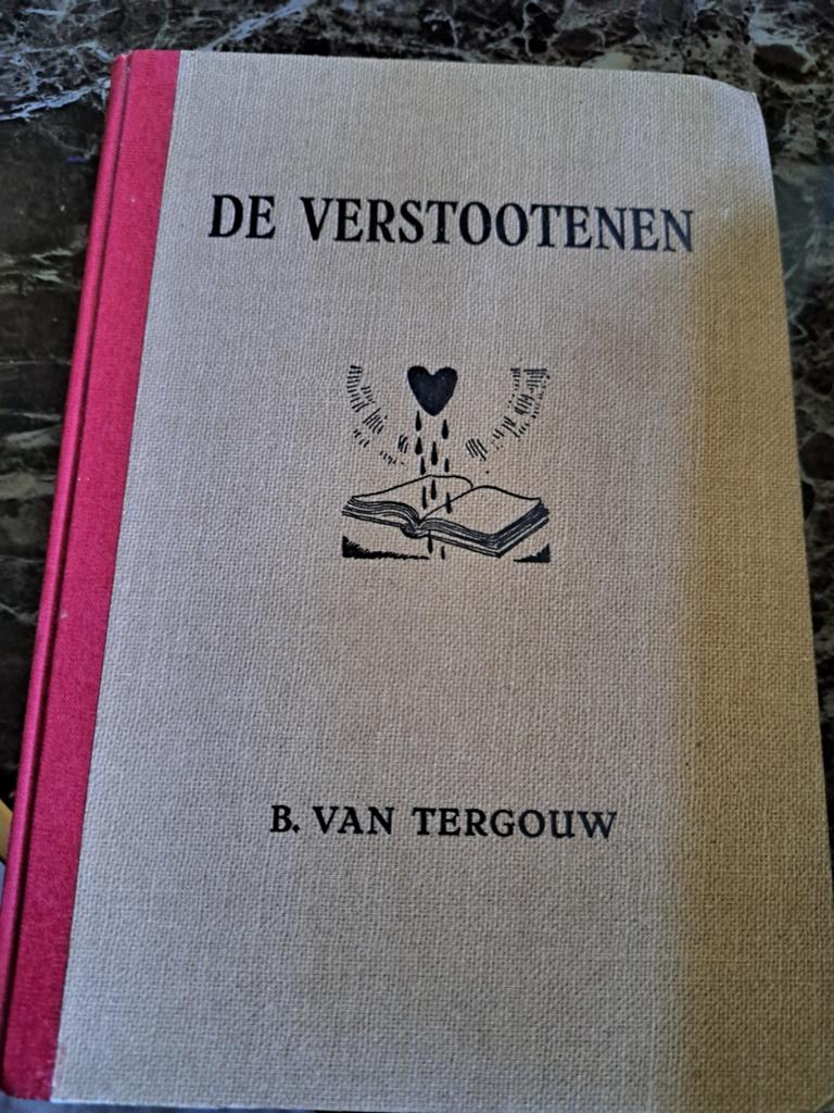 De Verstootenen - B. van Tergouw (Vintage Boek), Ophalen of Verzenden, Gelezen, B. van Tergouw, Nederland