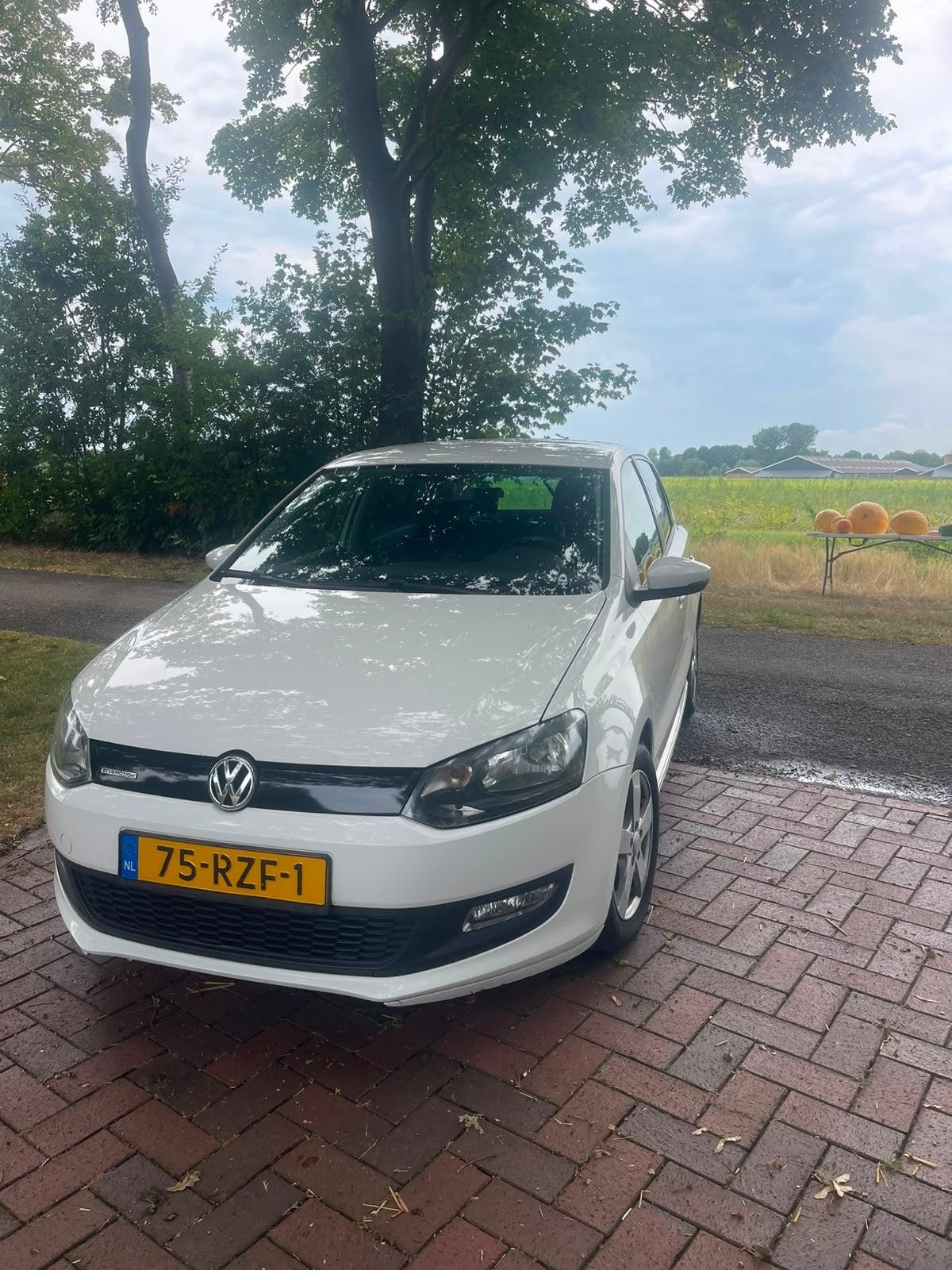 Volkswagen Polo 1.2 TDI 55KW BM 2011 Wit, Auto's, Voorwielaandrijving, Euro 5, Stof, 74 pk