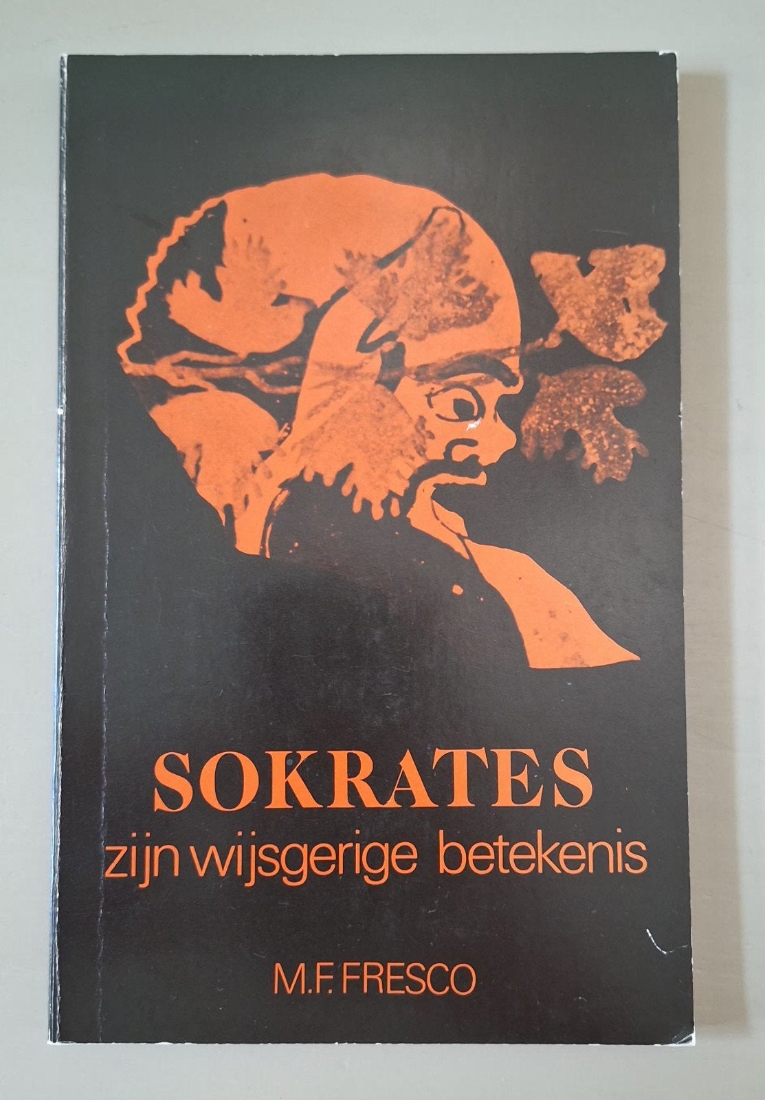 Sokrates zijn wijsgerige betekenis, Boeken, Filosofie, Ophalen of Verzenden, Gelezen, Algemeen