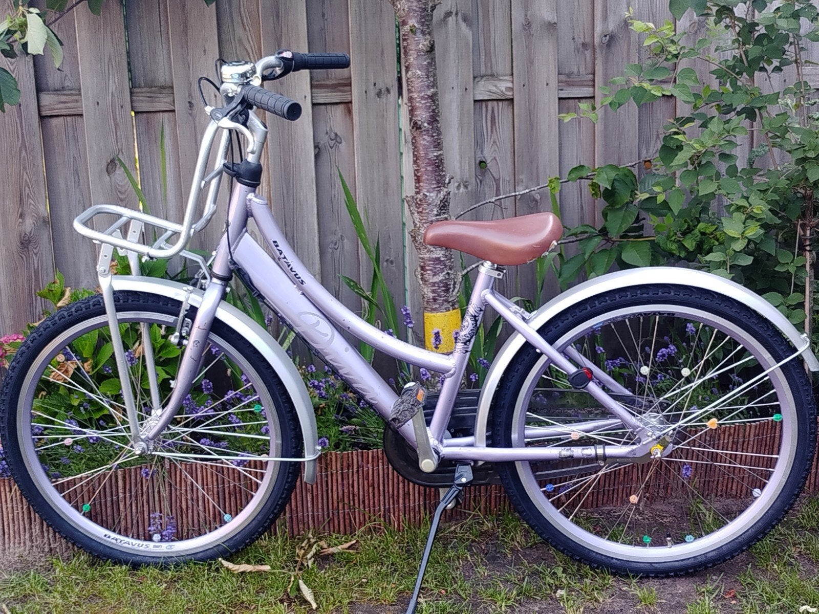 Batavus Diva "24 inch, Ophalen, Velgrem, Versnellingen, Batavus Diva