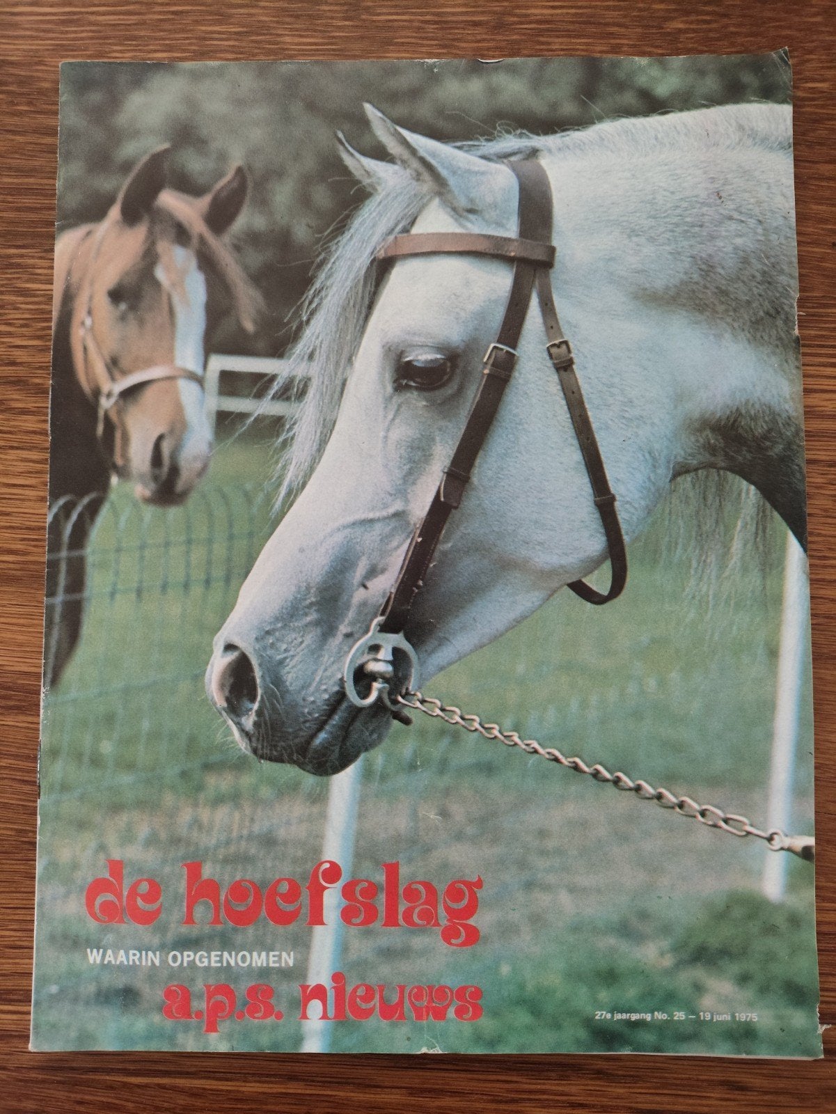 De Hoefslag - Paardenmagazine uit 1975, Ophalen of Verzenden, Gelezen, Overige typen