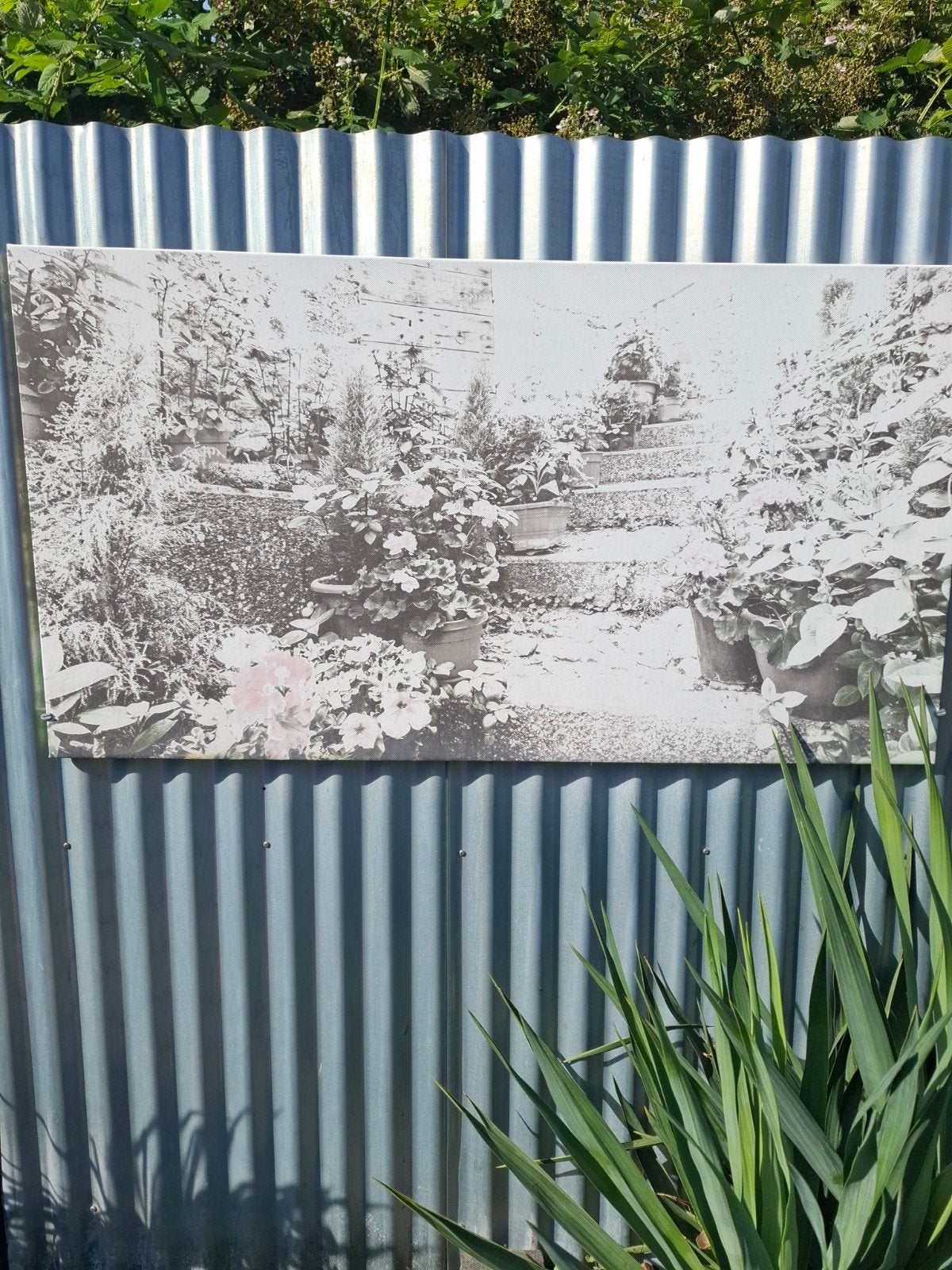 Gratis 2 buiten schilderij niet zo mooi meer maar gratis, Ophalen, Minder dan 3 meter, Hout, 1 tot 2 meter