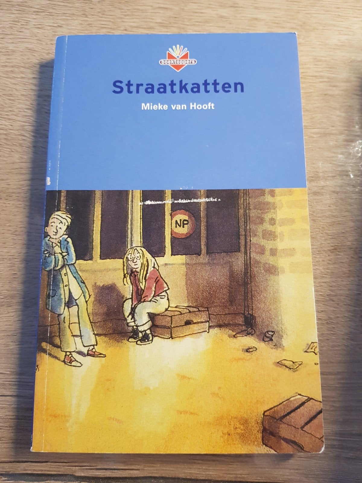 Boek Straatkatten - Mieke van Hooft, Boeken, Ophalen of Verzenden, Zo goed als nieuw, Fictie