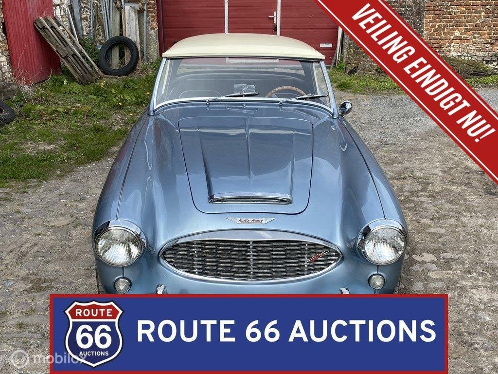 Austin-Healey 100-6 BN4 | 1957 | Route 66 Auctions, Auto's, Austin, Overige carrosserieën, Zwart, Bedrijf