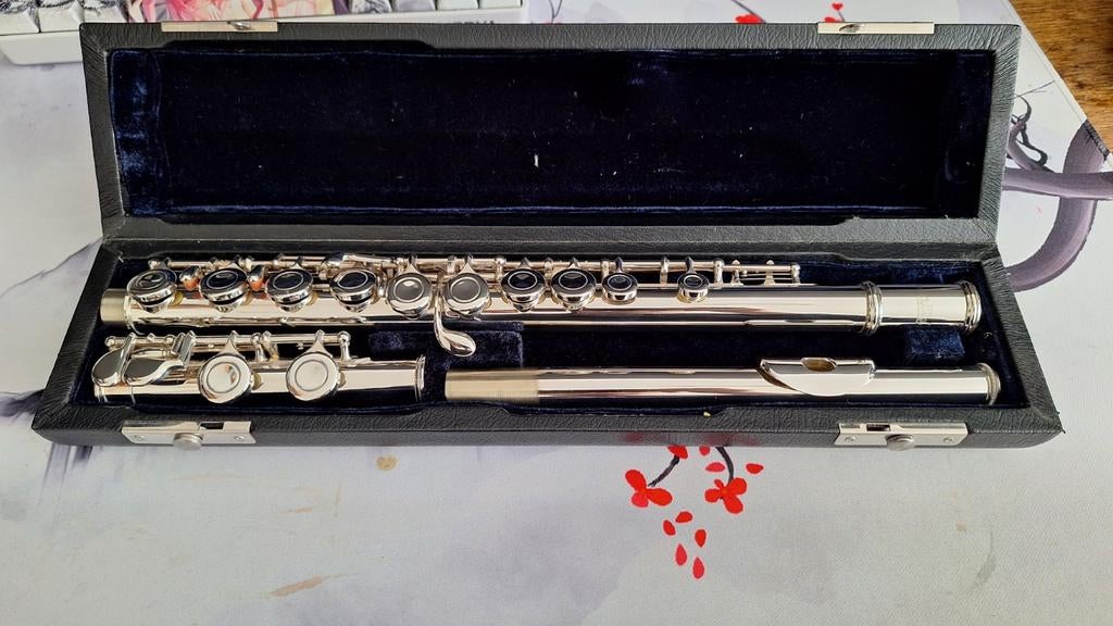 Stewart Ellis dwarsfluit, Muziek en Instrumenten, Ophalen of Verzenden, Nieuw, Dwarsfluit, Met koffer of tas