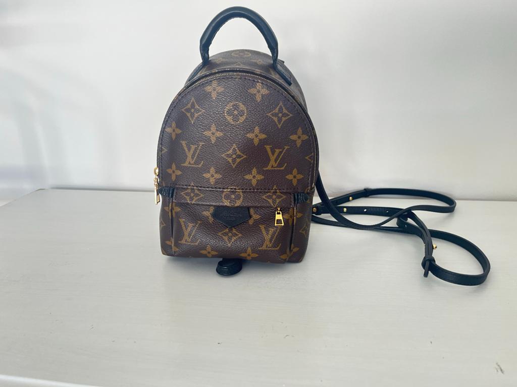 Louis Vuitton Palm Springs Mini Rugzak, Sieraden, Tassen en Uiterlijk, Tassen | Rugtassen, Overige merken, Minder dan 30 cm, Ophalen of Verzenden
