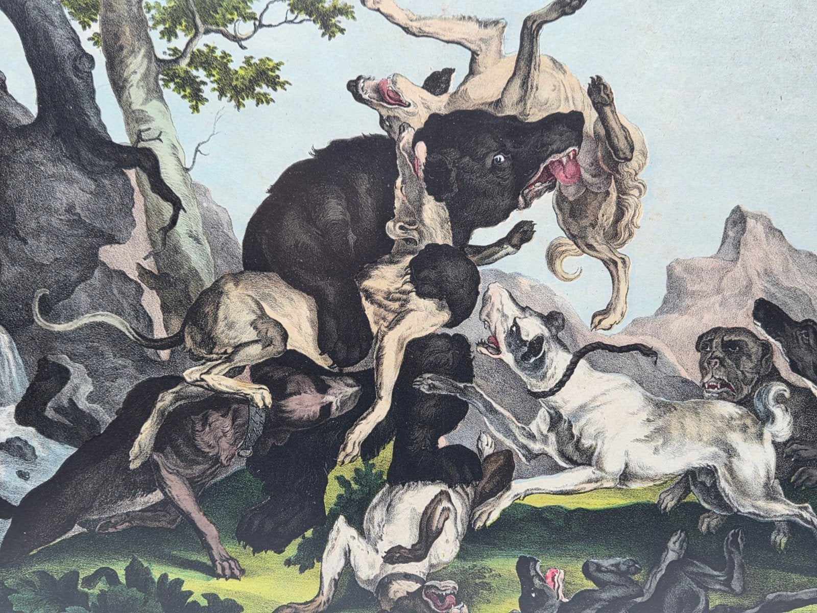 Antieke prent 'Bären Jagd' (Berenjacht) - Ingelijst, Antiek en Kunst, Ingelijst, 1800 - 1899, Ophalen of Verzenden, Flora en Fauna