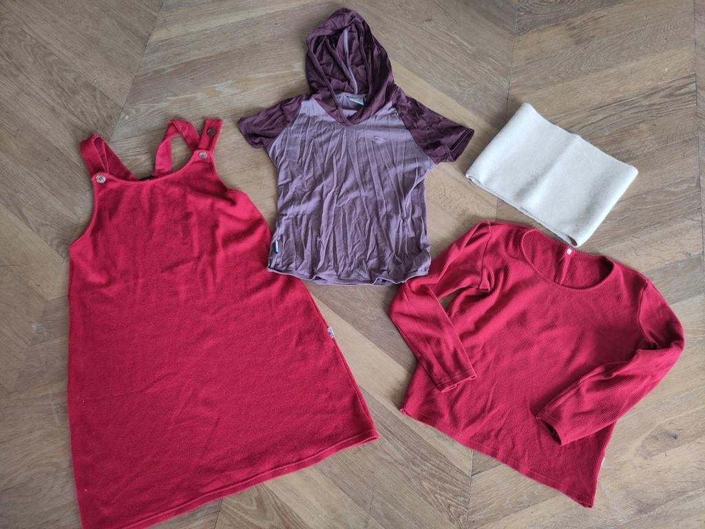 Mooie set wollen kleding Dames Icebreaker Manymonths, Kleding | Dames, T-shirts, Gedragen, Maat 38/40 (M), Rood, Lange mouw, Ophalen of Verzenden