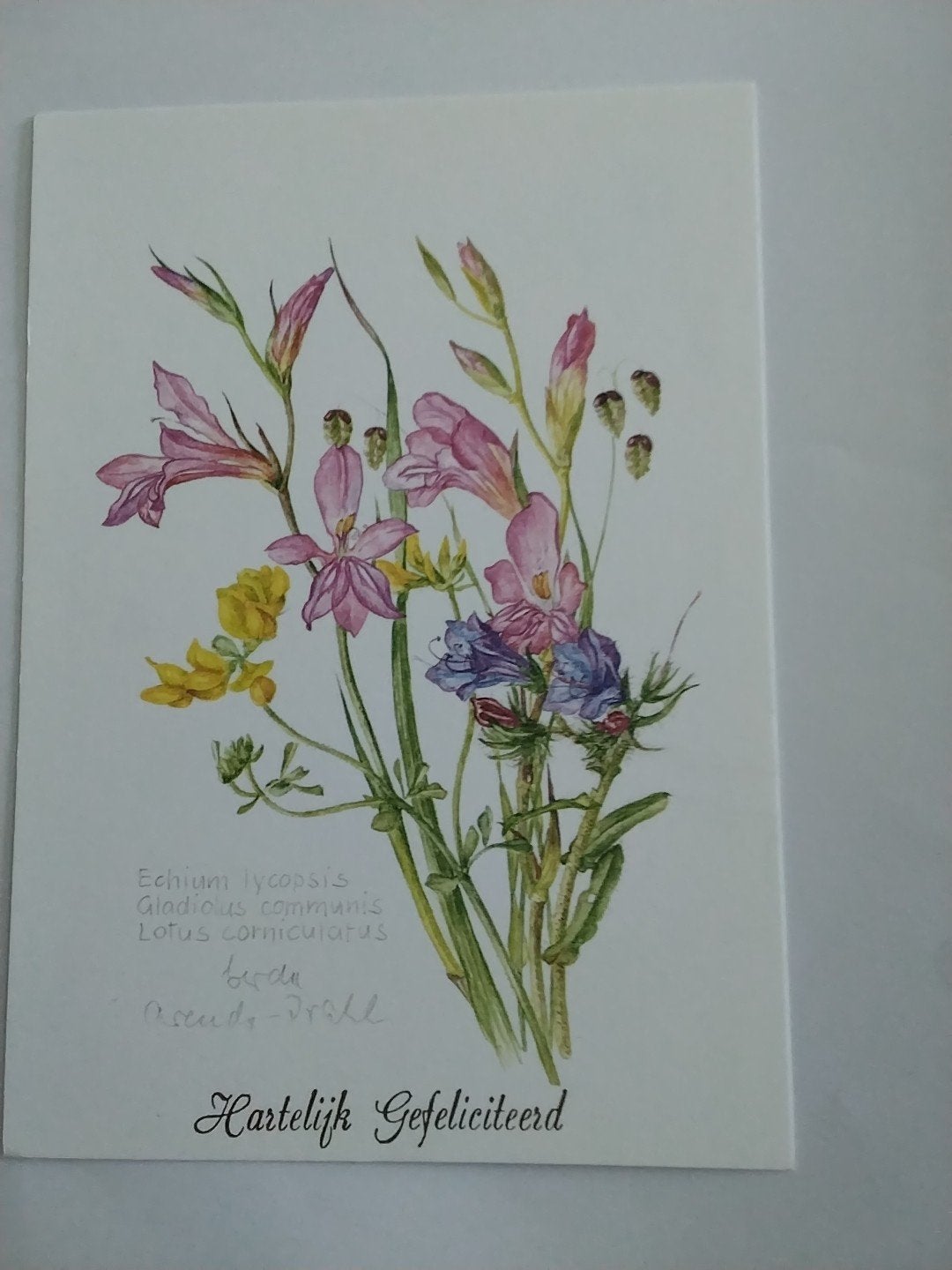 Vintage Bloemen Hartelijk Gefeliciteerd / Gerda Arends Prahl, Verzamelen, Ansichtkaarten | Themakaarten, Ophalen of Verzenden