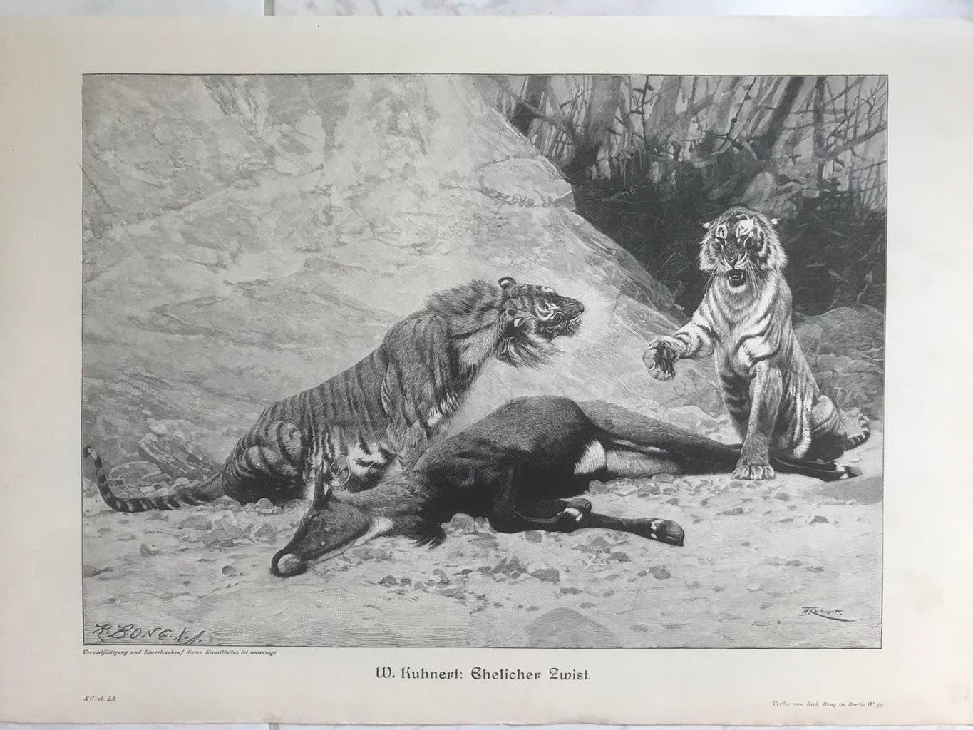 W. Kuhnert: Ehelicher Zwist, or. gravure 1895, 32x23cm.Mooi!, Antiek en Kunst, Origineel, 1800 - 1899, Ophalen of Verzenden, Gravure