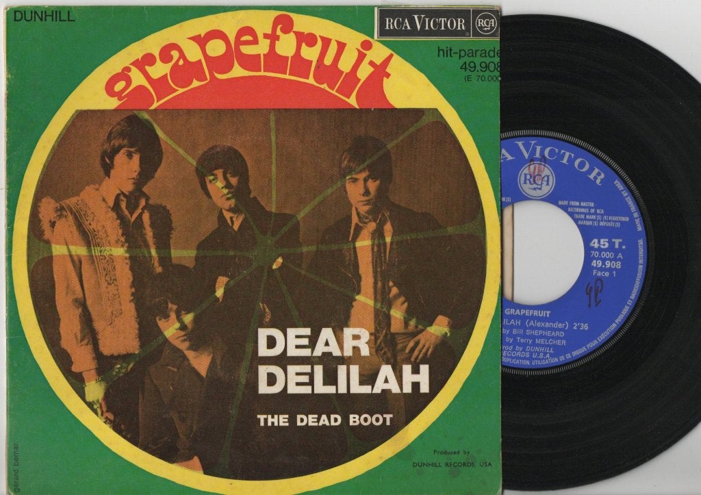 Grapefruit – Dear Delilah, Ophalen of Verzenden, Gebruikt, 7 inch, Rock en Metal