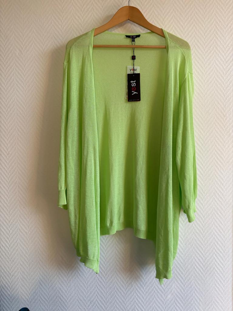 Nieuw Yest vest maat 48, lichtgroen, Ophalen of Verzenden, Nieuw, Maat 46/48 (XL) of groter, Groen