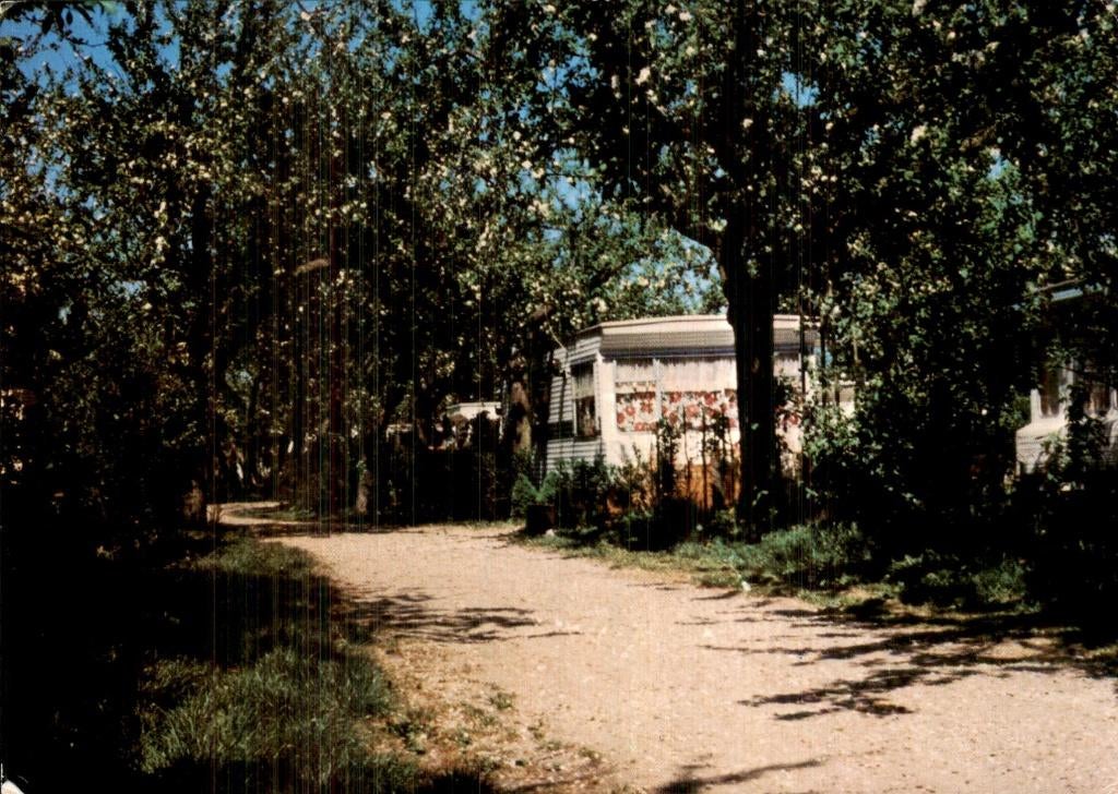 Bergambacht - Camping - De Nes, Ophalen of Verzenden, 1960 tot 1980, Gelopen, Zuid-Holland