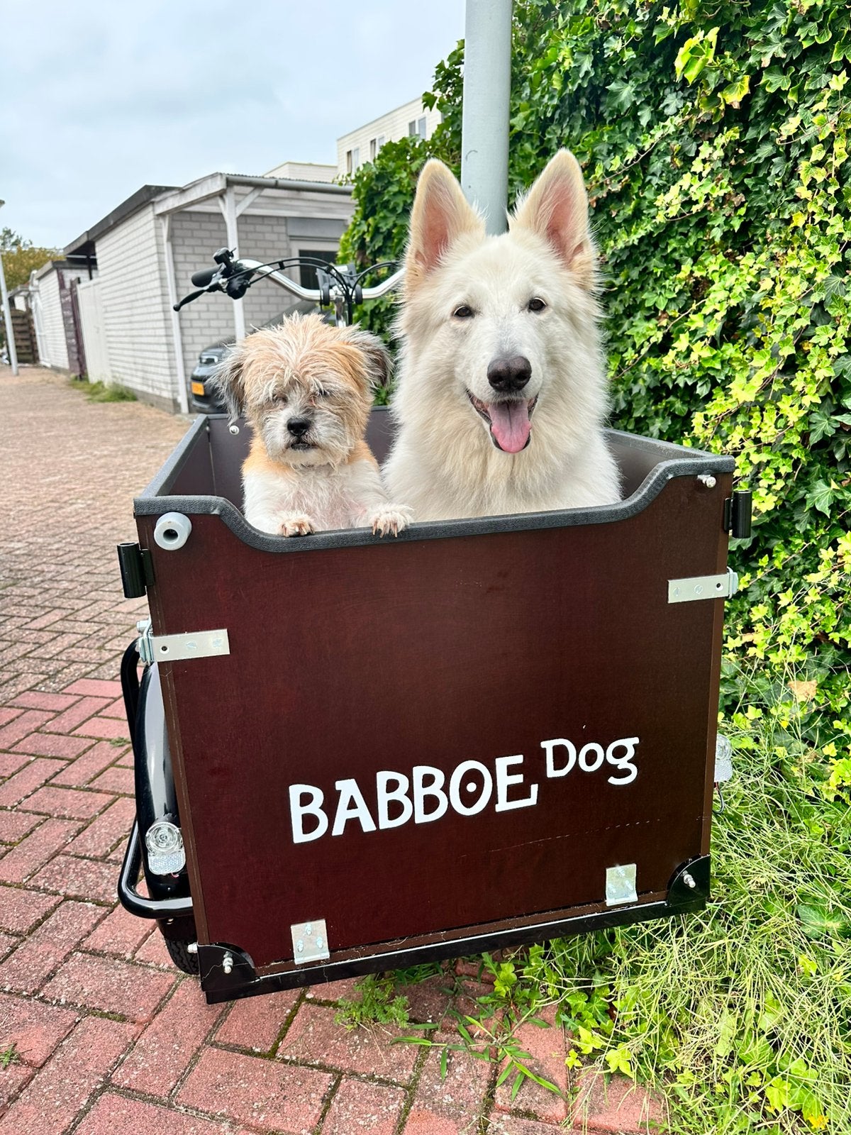 E dog bakfiets voor hond en kind | electrisch, Ophalen of Verzenden, Zo goed als nieuw