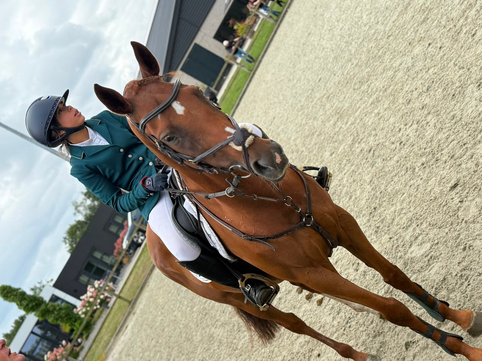 Allround merrie te koop, Dieren en Toebehoren, Ophalen of Verzenden, Gebruikt, Veelzijdigheid