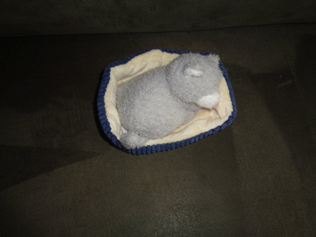 Jellycat Napping Nipper cat  poesje in mandje 17x10 cm, Ophalen of Verzenden, Overige typen, Jellycat