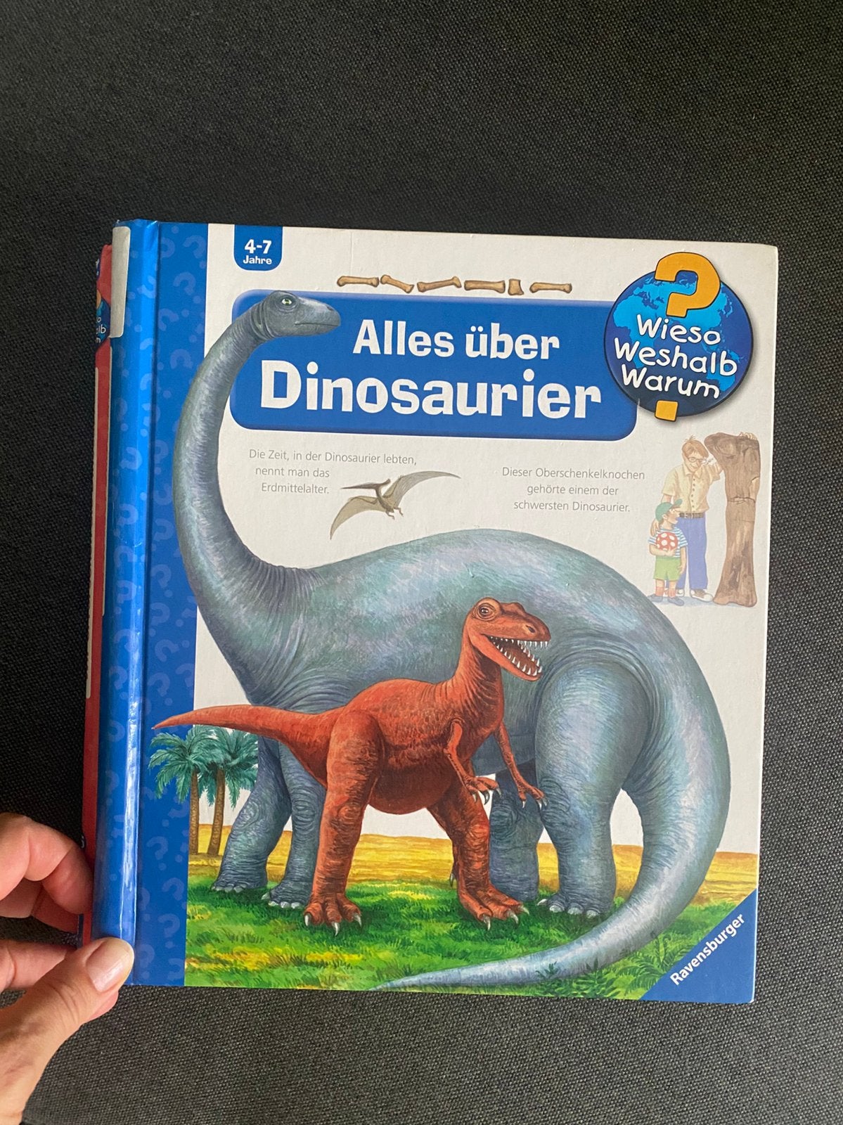 Alles über Dinos - Wieso weshalb Warum, Ophalen, Zo goed als nieuw, Patricia Mennen, Fictie algemeen