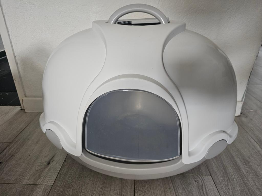 Katten, Ophalen of Verzenden