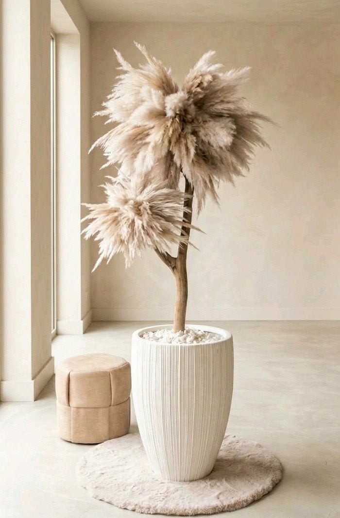 Pampas boom incl luxe hoge witte pot | pampasboom, 180 cm, Binnen, Natuurlijk materiaal, Handgemaakt