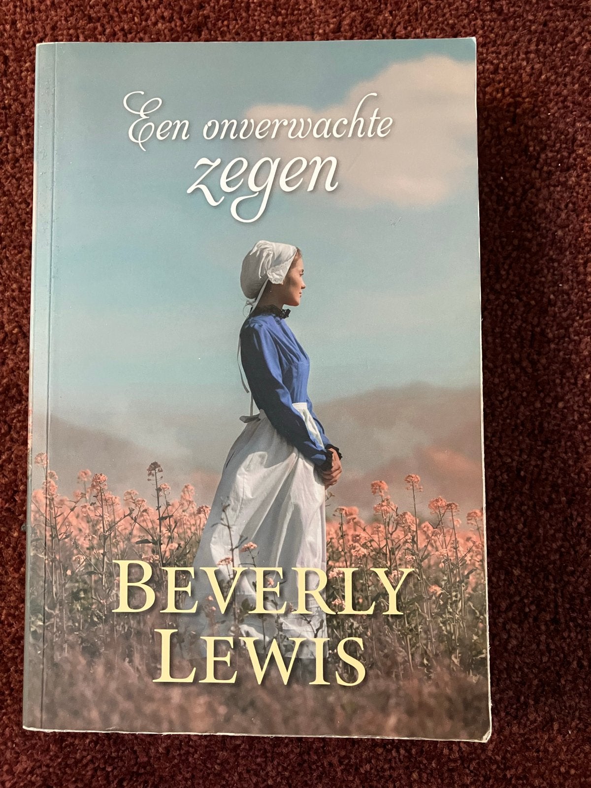 Een onverwachte zegen - Beverly Lewis (Amish verhaal), Ophalen of Verzenden, Zo goed als nieuw, Nederland