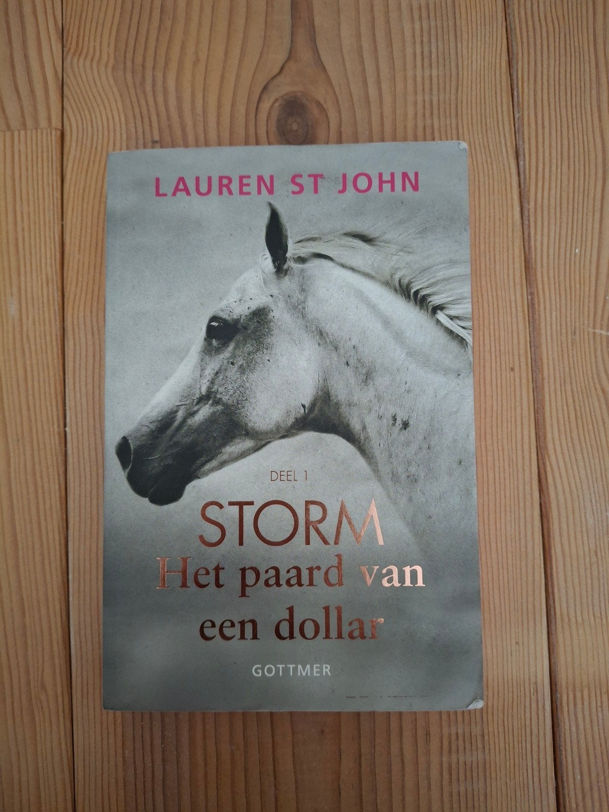 Storm: Het paard van een dollar - Lauren St John, Ophalen of Verzenden, Gelezen, Lauren St John, Nederland