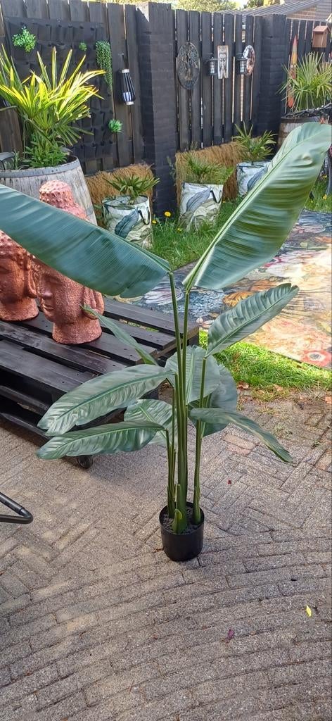 Kunst Strelitzia in pot - 1 meter hoog, Groen, Onderhoudsvrij, Kunstplant, Ophalen of Verzenden