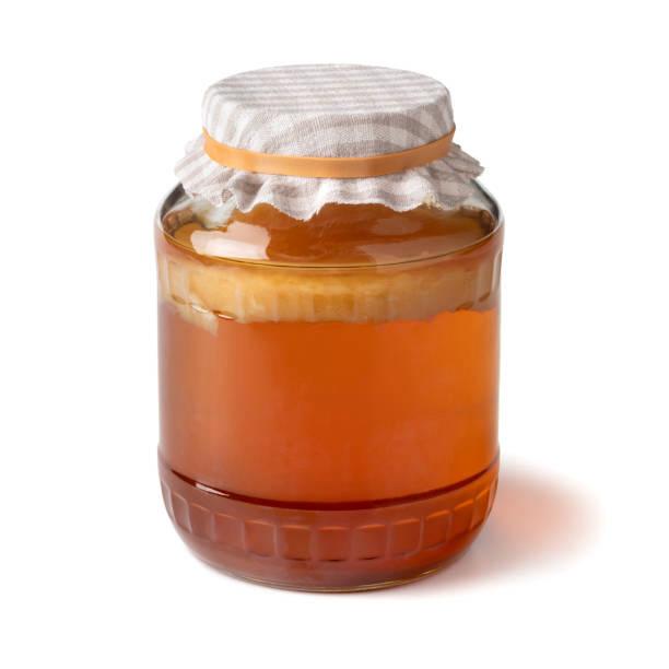 Kombucha scoby en startervloeistof, Ophalen