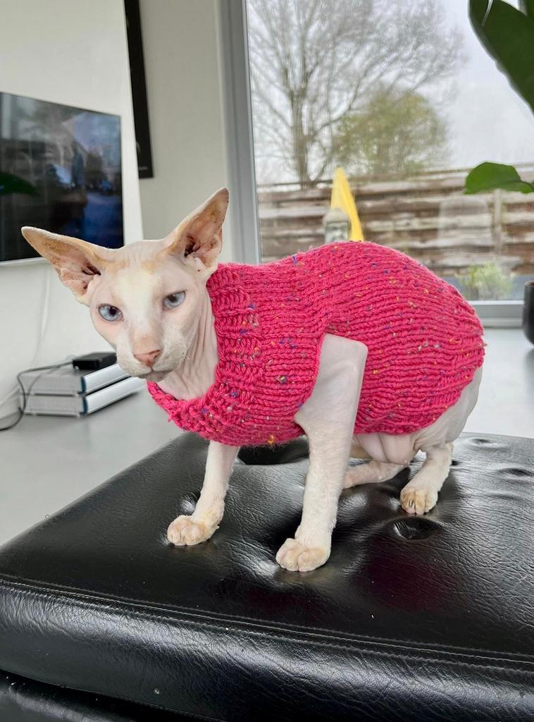 Handmade KATTENTRUI Sphynx Rex Kat Kitten Poes Kater Cornish, Ophalen of Verzenden, Nieuw