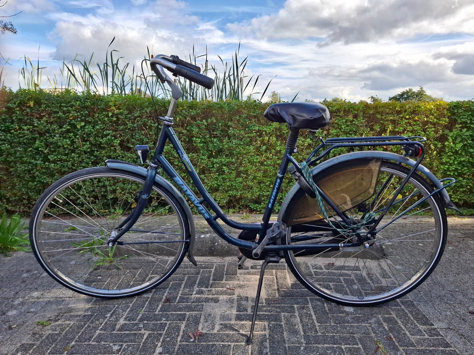 Batavus Locarno Damesfiets, Ophalen, Terugtraprem, Batavus, 53 tot 56 cm